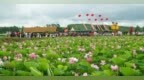 高铁搭台金秋启幕 绥化解锁文旅新“流量”