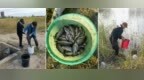 这里有鱼！大庆这场“抢鱼行动”太有爱……