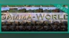 英伟达清华团队提出Gamma-World：世界模型从“一个人玩”到“多人共处”