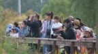 世界候鸟日丨从“观鸟”到“懂鸟”：“观鸟之都”的浪漫守护