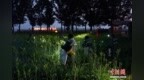 山西大同：一朵“小黄花”撬动乡村振兴大产业