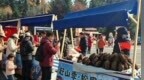 2026年伊春市松果集市活动火热进行中