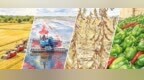 龙江金秋“画”丰年