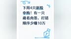 下周4只新股申购！有一只藏着肉签，打错顺序少赚10万