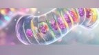 百普赛斯：毛利率高达90%，扣非增速为何大幅掉队？
