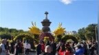 秋阳高照花如海：小长假尾声，菊花展游人如织“定格”金秋