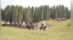 从“看风景”到“读文化”——透过新疆看“访古游”升温