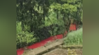 河水变成鲜红色？重庆彭水通报