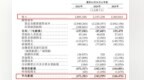 IPO雷达｜金晟新能“负重”三闯港交所，逾10亿元借款一年内到期