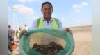 产业发展开新局丨山东：水上“生绿电” 水下“虾满仓”