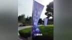 果然视频｜平均1天6家！外地企业为何争相“择鲁而栖”？