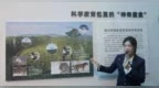 叫声像摇滚现场、尿味像爆米花的东北虎，一生只做三件事