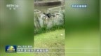 暖心一瞬｜危急时刻伸援手 凡人善举暖人心