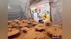 评论：黑土特产冲“国潮”，长春都市圈农业破局之道何在？