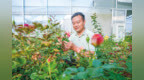 “花痴博士”倾力为月季装上“中国芯”