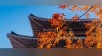 哈尔滨高校秋色上新，这些校园里藏着“限定”浪漫