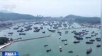 视频丨南海开渔 千帆竞发开启“海上秋收”