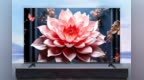 罗永浩痛批电视行业刷屏全网 夏普主动赠送电视：开机无广告