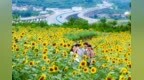 文化中国行｜“声动”二十四节气·夏至