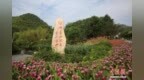 “两山”涌新机 浙江如何铺展现代化发展绿色“底色”？