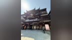 君佩金启豫园，星环映东方