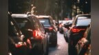 7月新能源汽车渗透率首超65% 燃油车零售暴跌41%