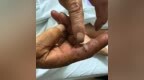 洪水中900条蛇出逃伤人，特种养殖产业应建立前置避险机制