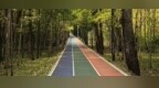 秋日林间跑起来！东北林业大学森林生态跑道成晨练“新宠”