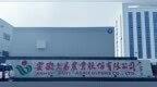 创业板IPO审核最快终止