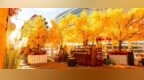 10种玩法，国庆假期打卡哈尔滨