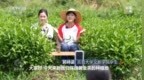 焦点访谈丨青春赴山海 天地有作为