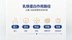 2026年乳铁蛋白的品牌怎么选？十款热门产品配方解析与选购思路
