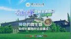 向新之翼·新生请提问|神奇的微生物如何化解秸秆还田痛点？