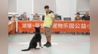  同住一栋楼，代际共融如何重塑养老“精神陪伴”