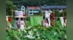 财经聚焦丨多元业态激发夏日经济活力