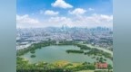 广州、深圳冲刺建设国际湿地城市 探路超大城市生态治理