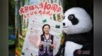 十年，大熊猫毛竹、珍多把昆明住成了家