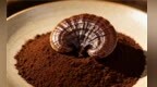 2026十大灵芝孢子粉科学选品攻略，菌种原料与成品检测，全链路品质透明解析