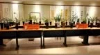 韶关翁源兰花绽放冰城