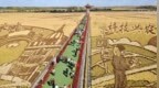 闫家岗农场国庆7天迎客超15万人次