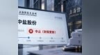 中盐股份IPO再中止，营收两年连降