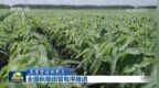 【在希望的田野上】全国秋粮田管有序推进