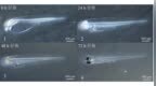 我国“海上粮仓”持续扩容