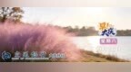 早安！大庆低温多雨天气上线！物业给保洁发中秋礼品，拍照后收回？哈伊高铁9月28日开通！多地立法明确“艾滋病感染者须告知配偶”