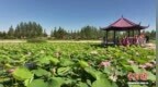 “鹤城”借“赛”出圈 黑龙江省运会“烤”热齐齐哈尔“赛事经济”