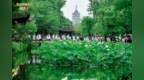 数读中国开局新活力｜带动增收超330万元，“小而美”如何“甜”了城市“富”了乡村？