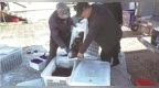 特色水产促增收！大庆肇源寒地小龙虾喜获丰收