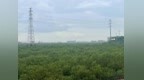 一只“小水鸭”游入司法“生态账本”