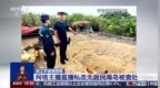 视频丨“荒岛改造”自由惬意？已触碰法律红线！案例解读→