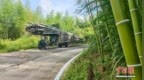 粤北南雄毛竹“打飞的”出山助力乡村振兴